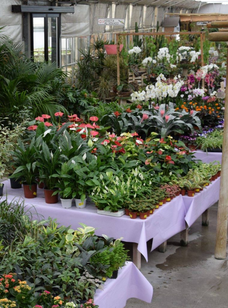 Formato verticale - Garden Idea